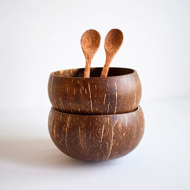 Coconut Bowls – Duopack Groot